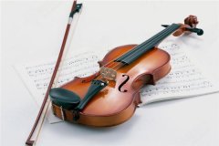 十种不适合学小提琴的人 感兴趣最重要 学了就要坚持