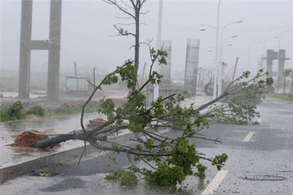 中国历史上最强台风排行：桑美上榜，第一使城市内部变海